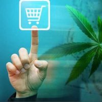 The Advantages Of Buying Weed From online weed store Canada