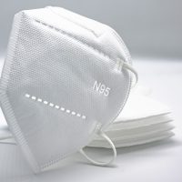 Is an N95 Mask Effective For Your Specific Needs?