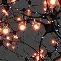 Topic 4: How Stem Cell Treatment Improved Priya’s Daily Life After Optic Nerve Atrophy