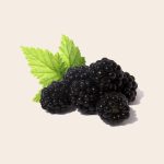 Blackberries, fruit, health — Online TRT Clinics That Respect Your Time