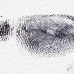 Fingerprint, dactylogram, papillary ridges — Stephen Millan Vision for a Fairer Criminal Justice System