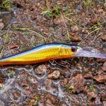 Fishing gear, fishing, wobbler — The Best Junk Clearance Options in Sacramento