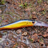 Fishing gear, fishing, wobbler — The Best Junk Clearance Options in Sacramento