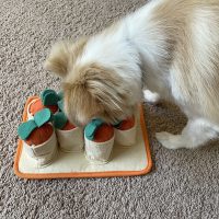 Why Smart Pet Products Are the Future of Pet Care