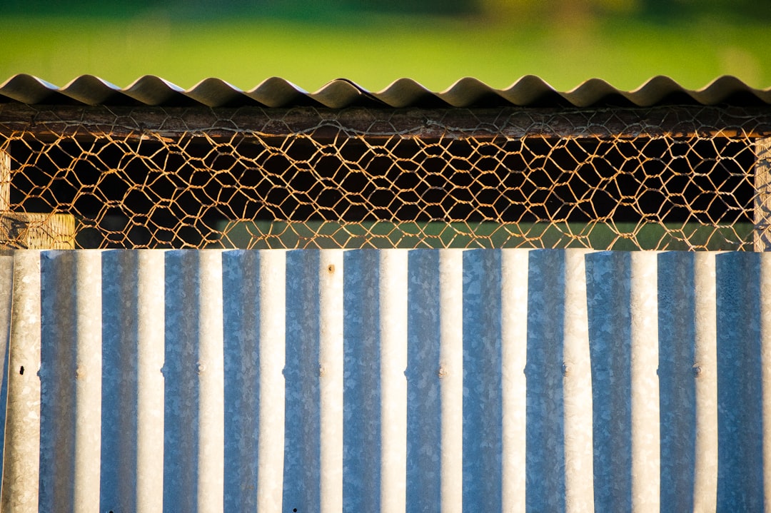 A close-up of a fence made of corrugated metal and chicken wire.