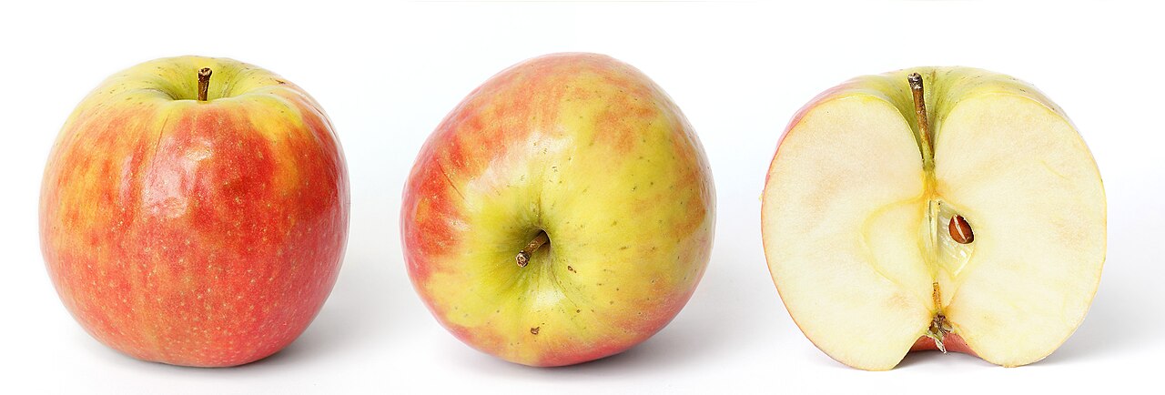 Apple surveillance technology